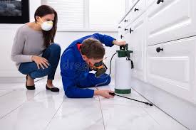 Best Pest Exclusion Services  in Armada, MI