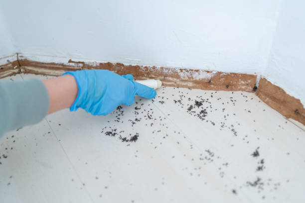 Professional Pest control in Armada, MI